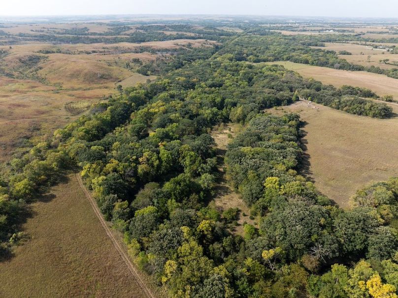 20240913-DJI_20240913104640_0092_D