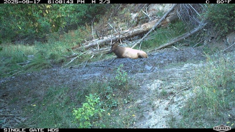 78EFE0A0-BF10-4EF3-8B5B-1AF02B4A90C8