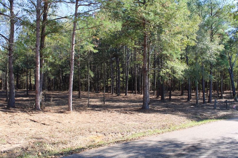 B6626108-9BA1-446C-9486-E94C67C80AA0_1_105_c