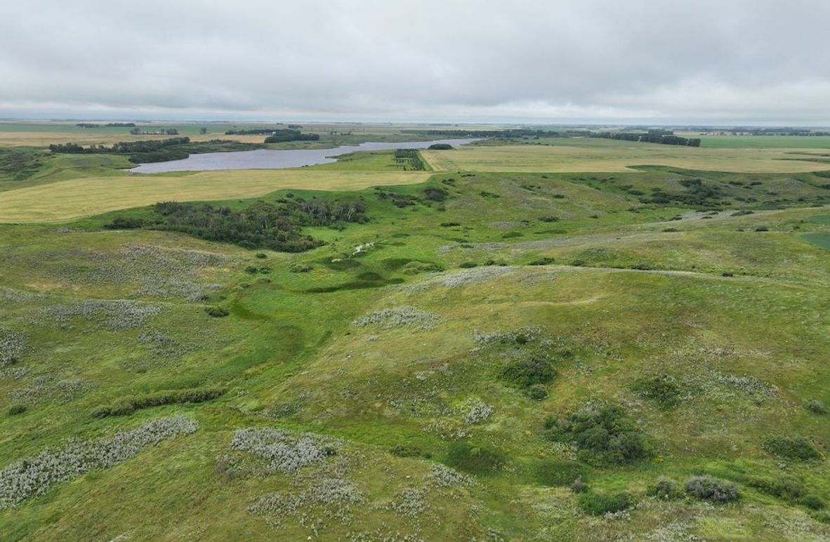 Copy of DJI_20250704140923_0618_D