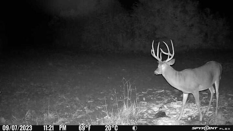 trail cam 4