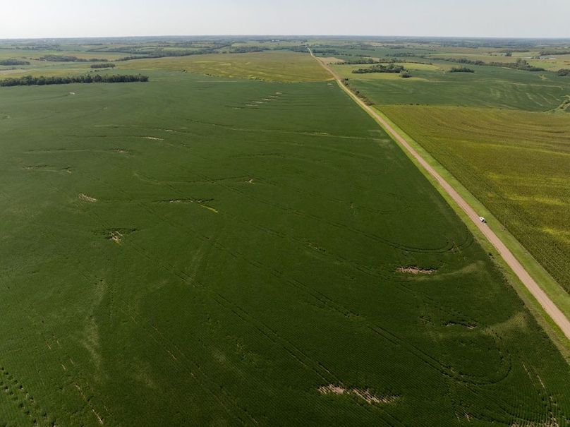 DJI_20250822112904_0051_D