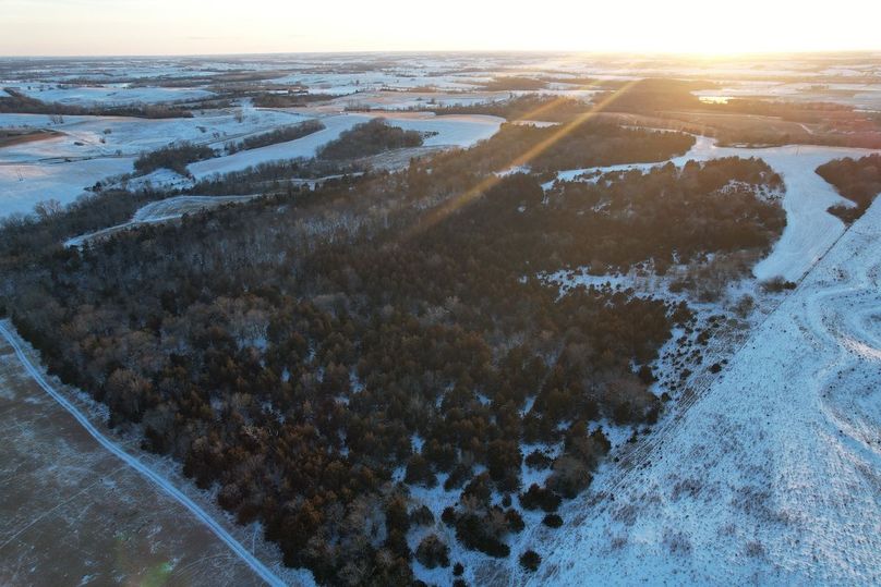 DJI_0520