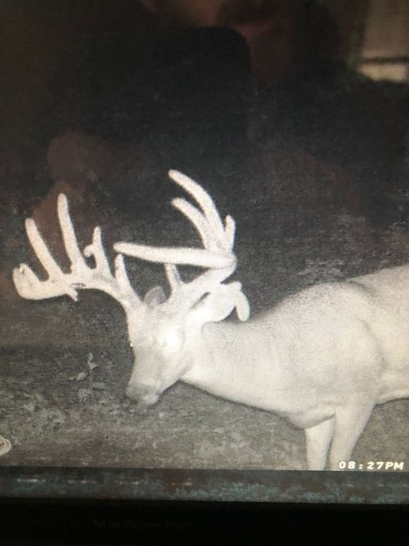 58957881692__7F2B34AE-0BF4-43B4-8A25-337C1422562D