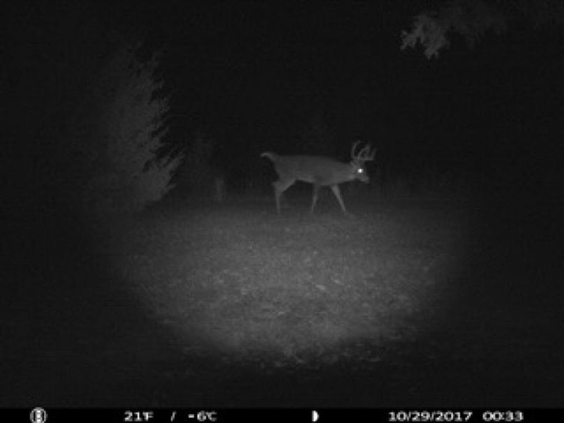 image29