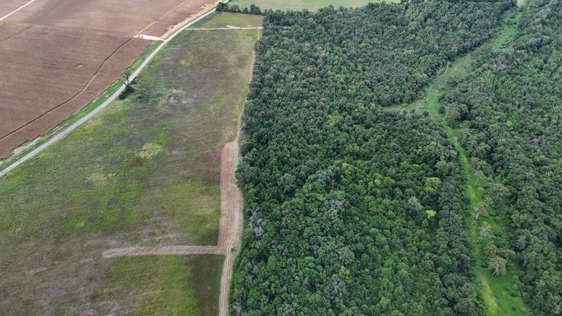 DJI_20250802035455_0561_D