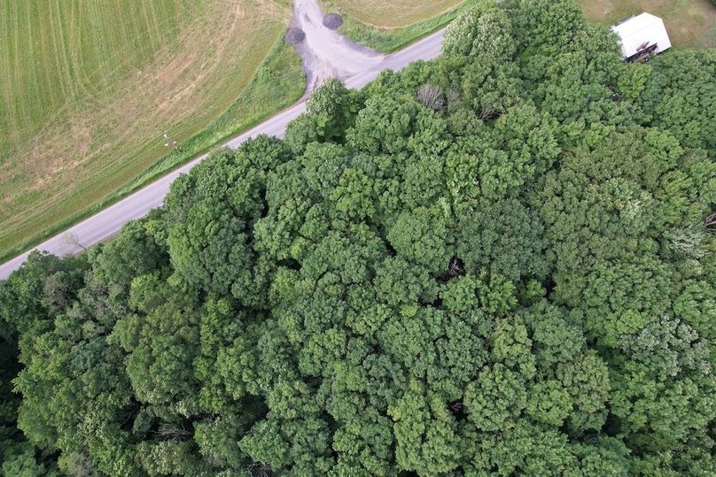 Oswego_22.46-Ross-French_Photos_33