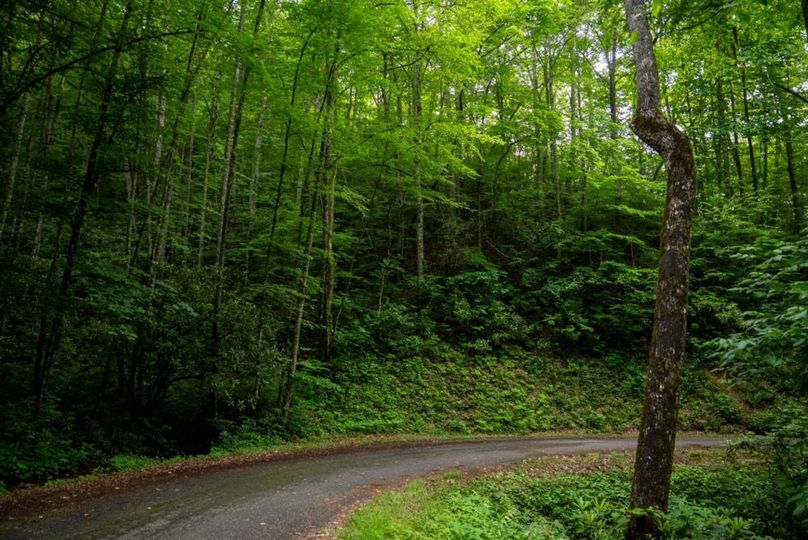 82 Featured_ProPhoto-55