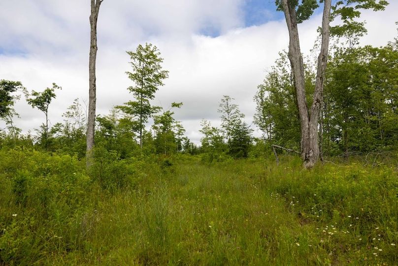 Mackinac 160 Leppiaho-24