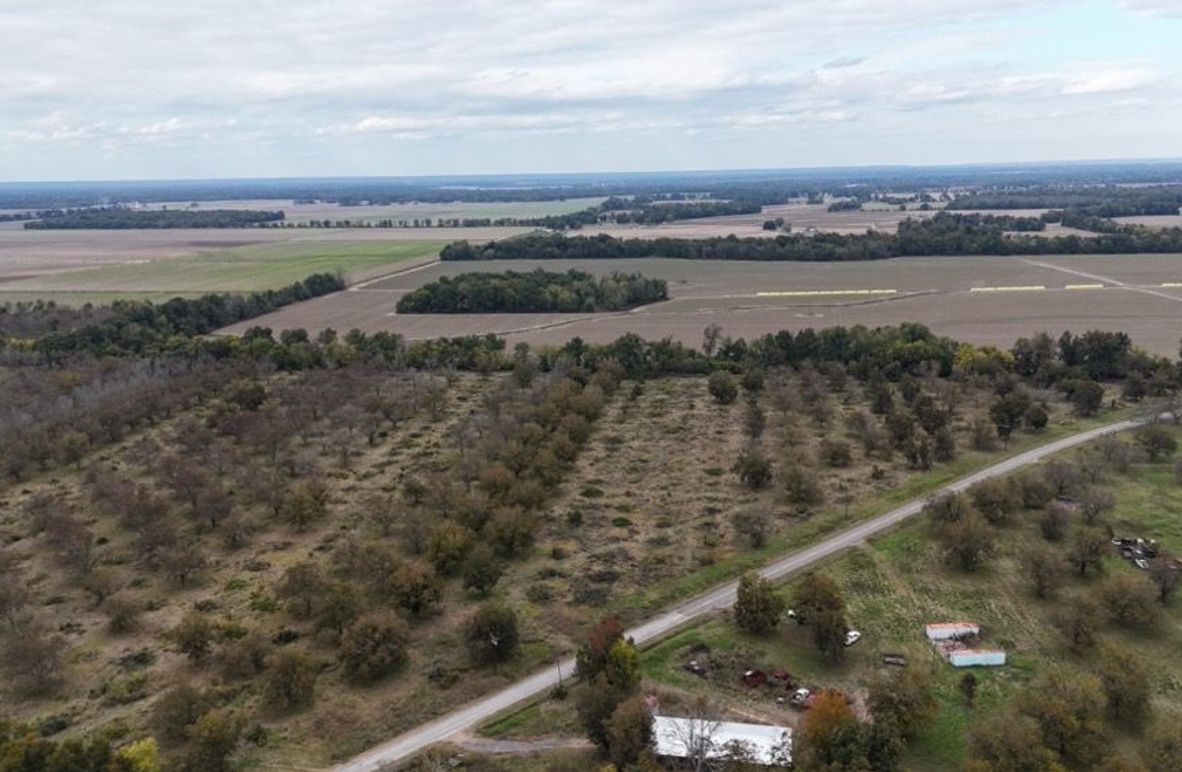 dji_fly_20251107_042930_0022_1762484052011_photo