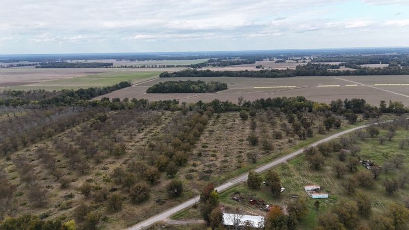 dji_fly_20251107_042930_0022_1762484052011_photo