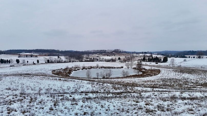 dji_fly_20260204_122802_0186_1770238011740_photo