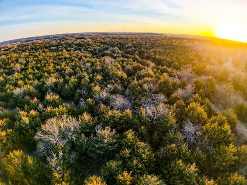 DJI_20251220164111_0167_D