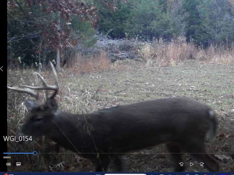 Screenshot 2024-03-02 133340