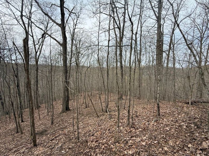 004 view along a north facing point