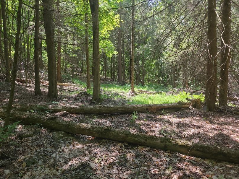 photo_6e6f61ab-e5f2-444a-aad1-c3b912e2b5f1