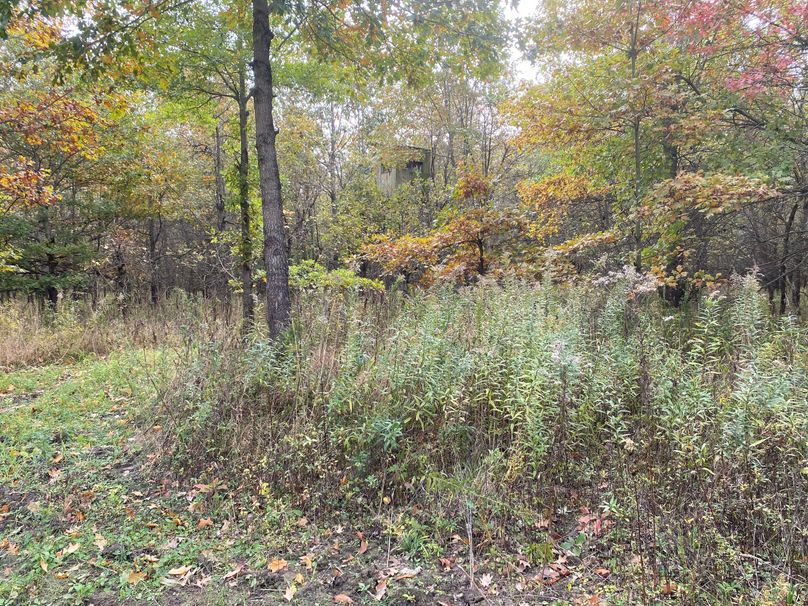 pics from late 2021 and early 2022. New plots being planted in Aug 2023 for new pics (49)