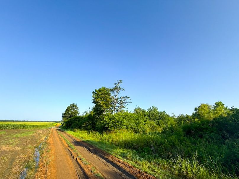 Copy of Noxubee 70 +- Tract 3-29