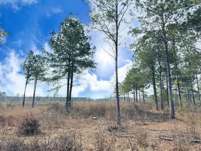 FA4D5127-7FF4-4669-A5EE-9BBD3DDEC596