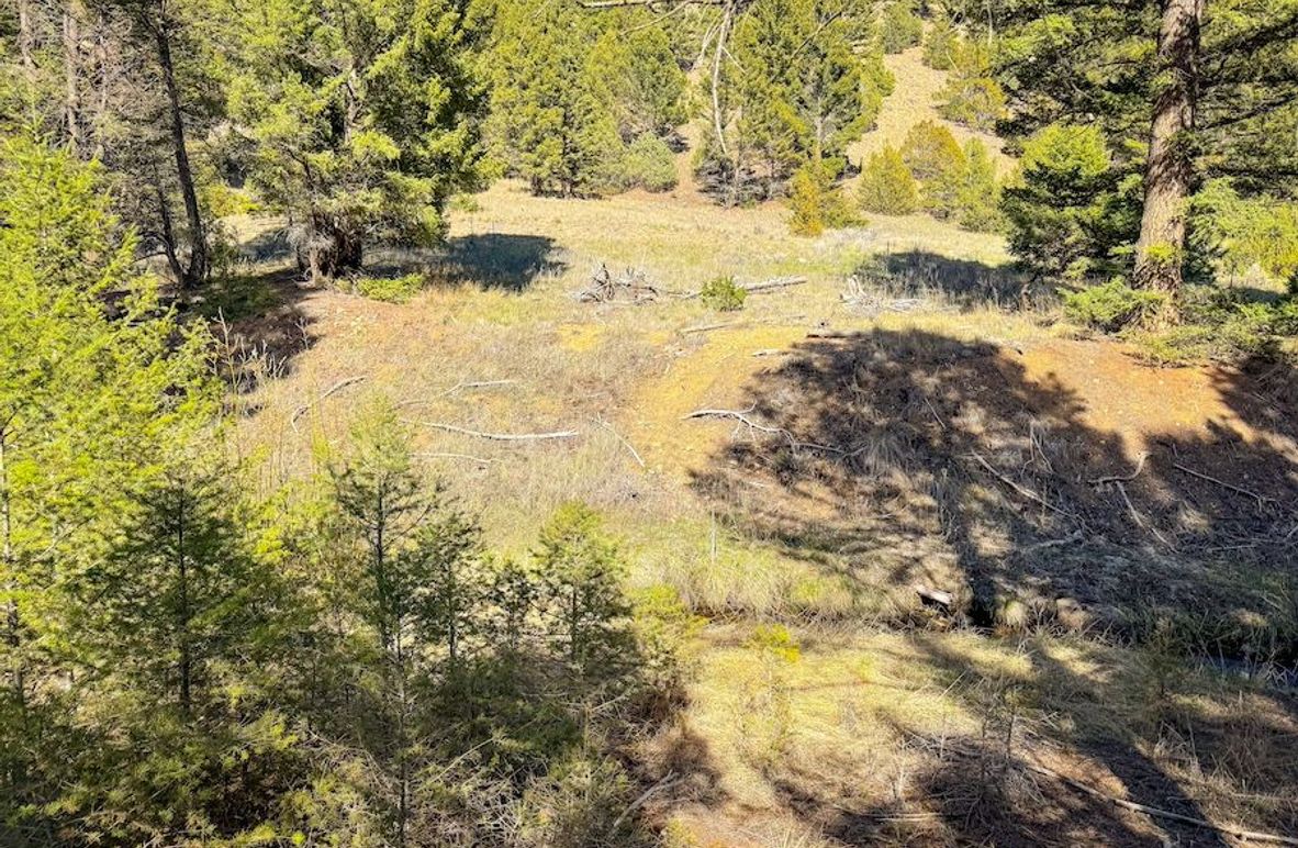 2. 20250508-IMG_3867 2