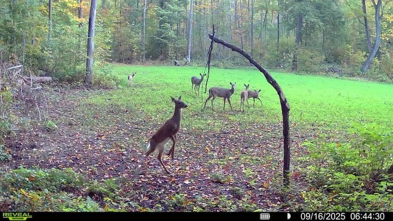 016579004341785-86-4-09162025064430-SYFW00157