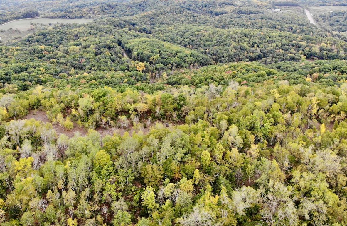 Monroe 66.23 - 5 of 46