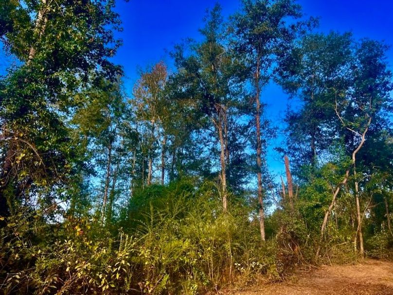 DA684A73-0A23-4043-803B-230EAC965B2D_1_105_c