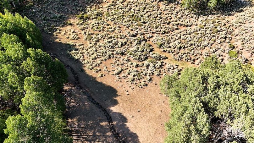 DJI_20250726170337_0096_D