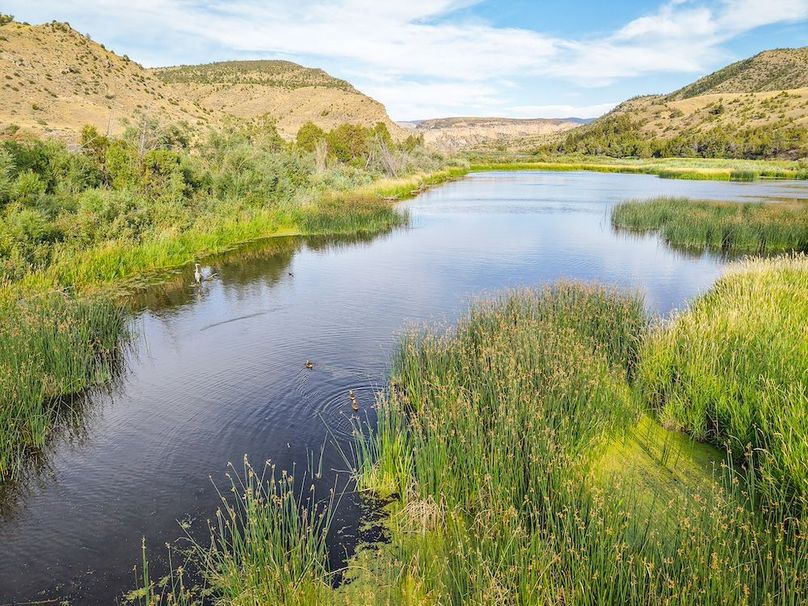 20250728-DJI_20250728183721_0043_D