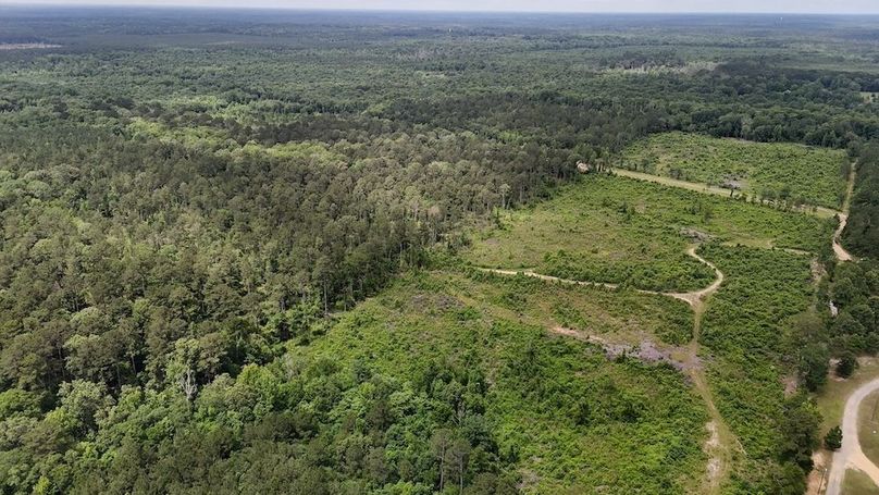 Copy of DJI_20250530002318_0552_D