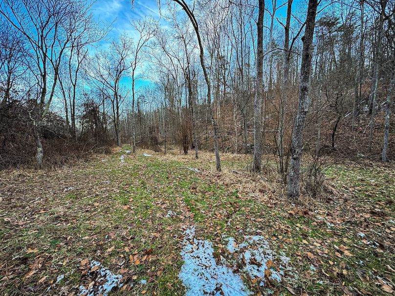 Jackson, WV 118.94 AC Shafer-100