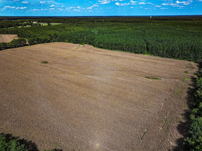 Lee County, MS 92+--08