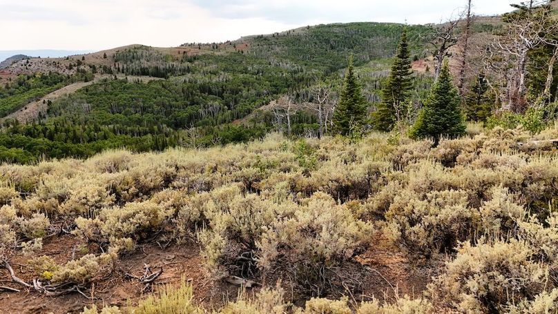 DJI_20250726174824_0158_D