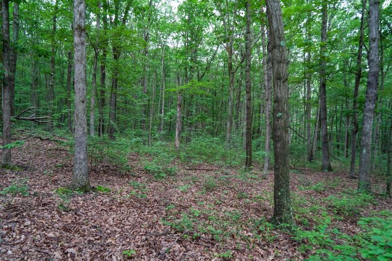 Bedford,121,Beegle-28