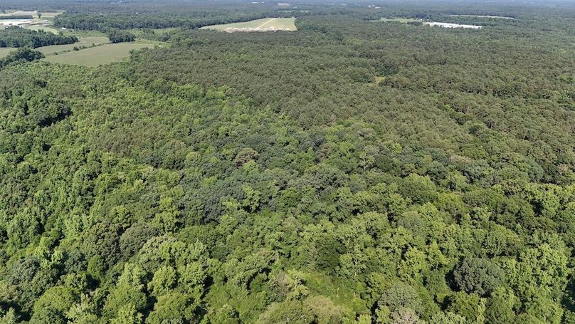 DJI_20250627095628_0112_D