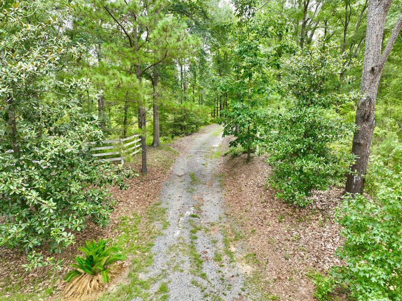 dji_fly_20230803_121600_466_1691080724846_photo