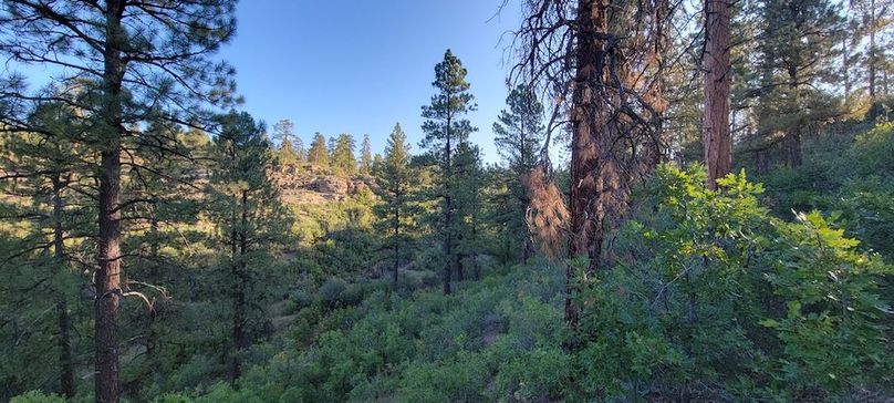 Copy of 20210827_074830