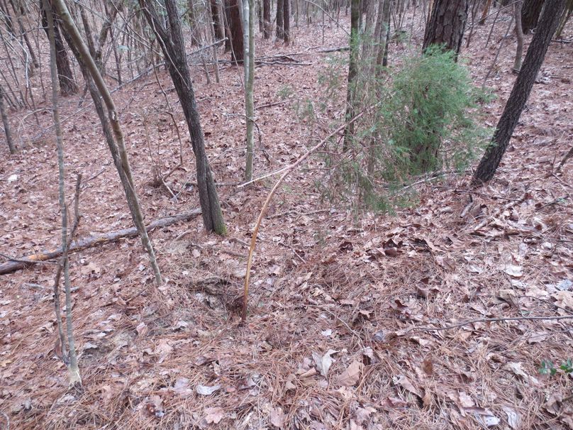 A162B834-7761-438D-9EF0-C0C4AC99D81B