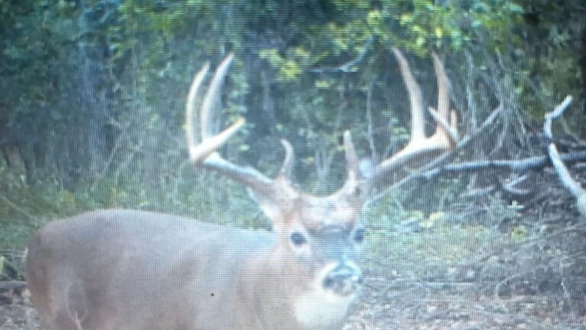 Membership and Camp in Lookout Point Whitetail Properties