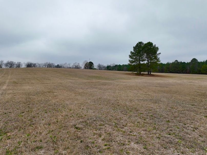 dji_fly_20260210_104024_243_1770738287904_photo