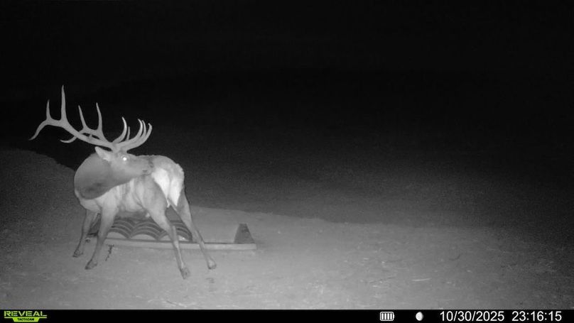 016578003984348-84-2-10302025231615-V-SYFW00561