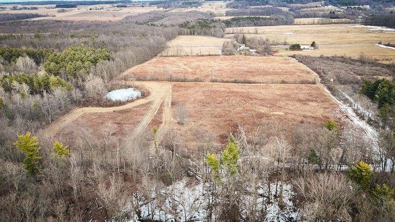 Seneca_24.54_Hohwald_Photos_25