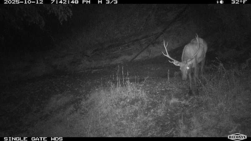 FB01E3A5-1142-4D56-AF97-6D7EF0D2654B