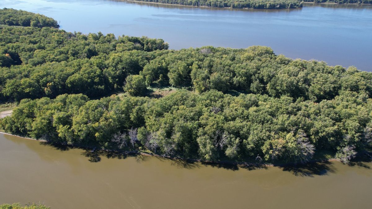 Mississippi River Island With Cabin In Western Illinois Whitetail