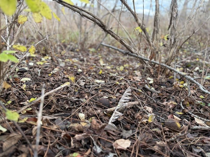 Tompkins_5.12_Galarza Photo 8