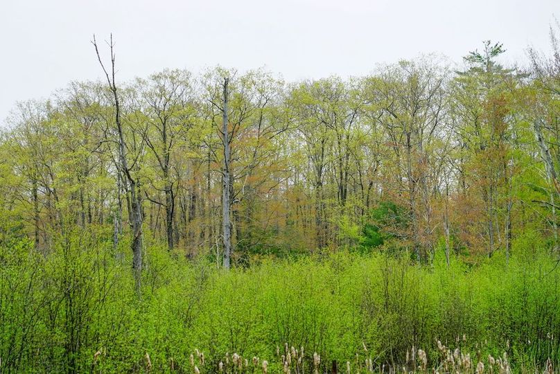 DSC01147