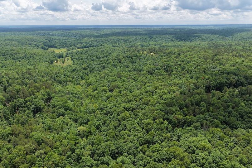 DJI_20260527122216_0012_D