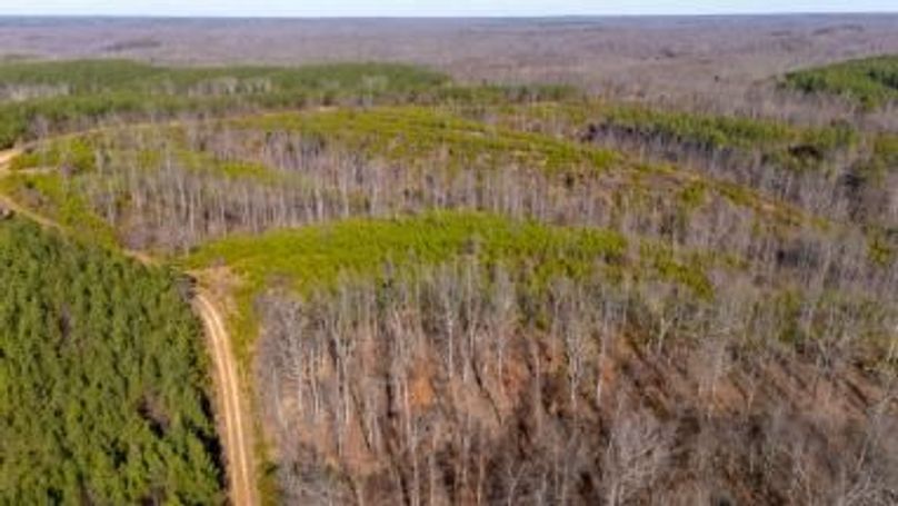 MCKINNON TRACT 19-31