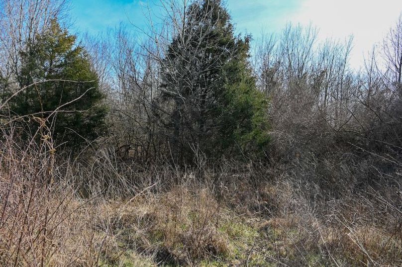 vandalia 450 (2)-1691