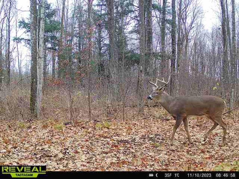 865814048724973-100-3-11102023084658-W1011863